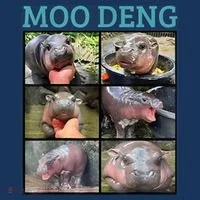 Moo Deng Picture Meme Funny Hippo Button thumb 1