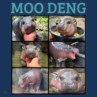 Moo Deng Picture Meme Funny Hippo Toddler T-Shirt thumb 4