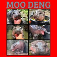 Moo Deng Picture Meme Funny Hippo Santa Hat thumb 1