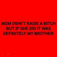Mom Didnt Raise A Bitch But If She Did It Was My Brother Santa Hat thumb 1