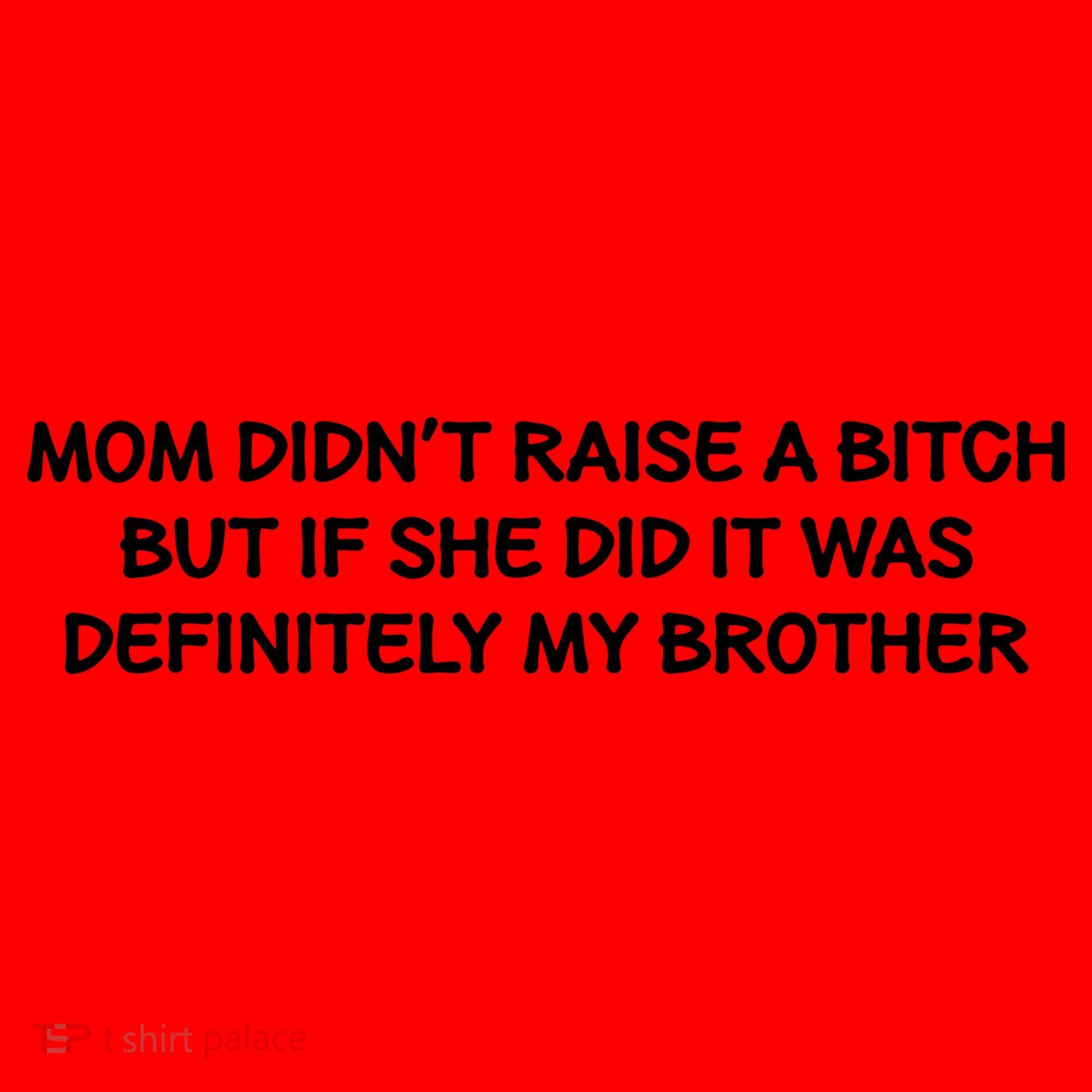 Mom Didnt Raise A Bitch But If She Did It Was My Brother Santa Hat