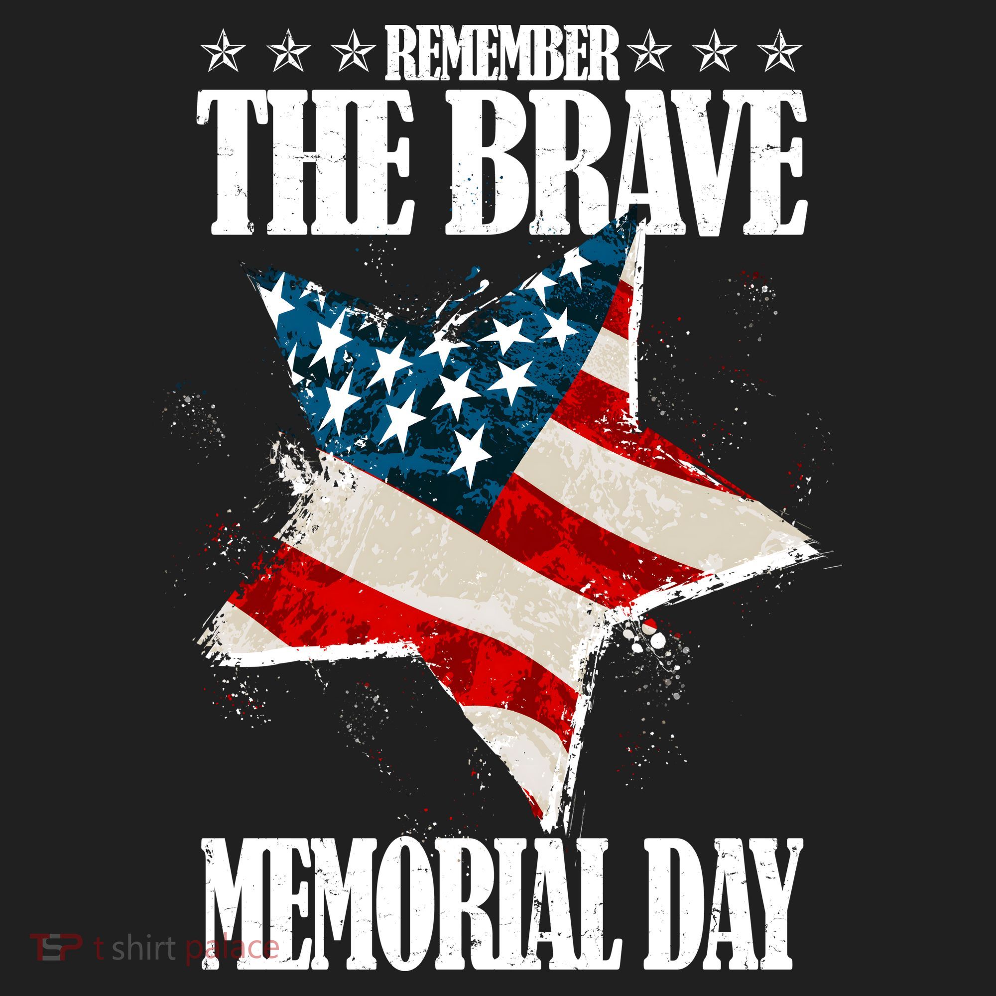 Memorial Day Remember The Brave Beanie