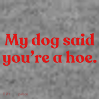 My Dog Said YouRe A Hoe Toddler Hoodie thumb 2