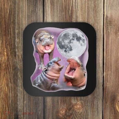 Moo Deng Three Moo Deng Moon Funny Hippo Coaster