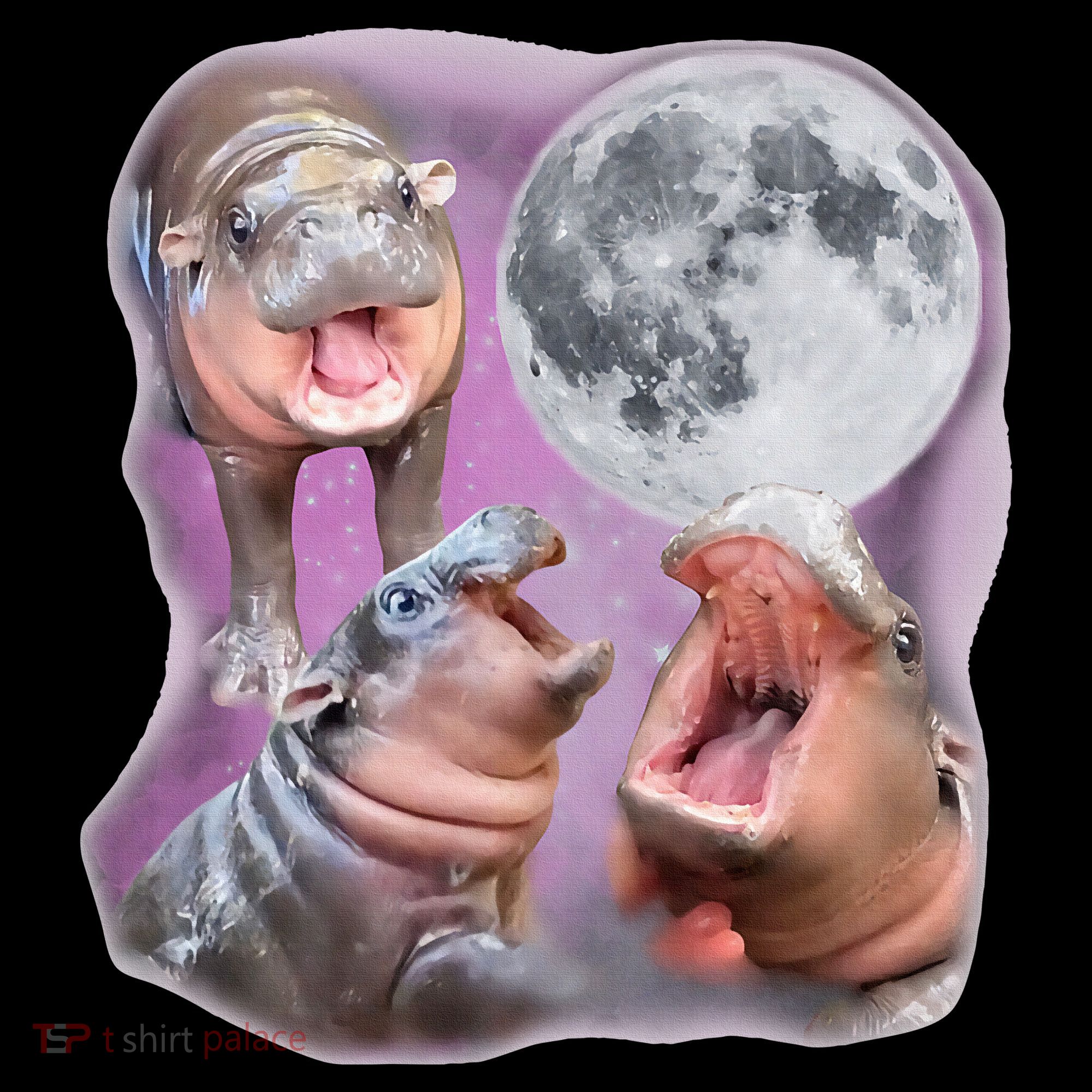 Moo Deng Three Moo Deng Moon Funny Hippo Women's T-Shirt
