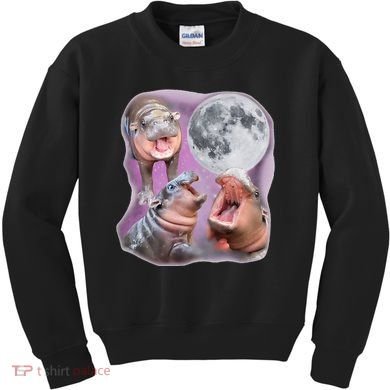 Moo Deng Three Moo Deng Moon Funny Hippo Kids Sweatshirt