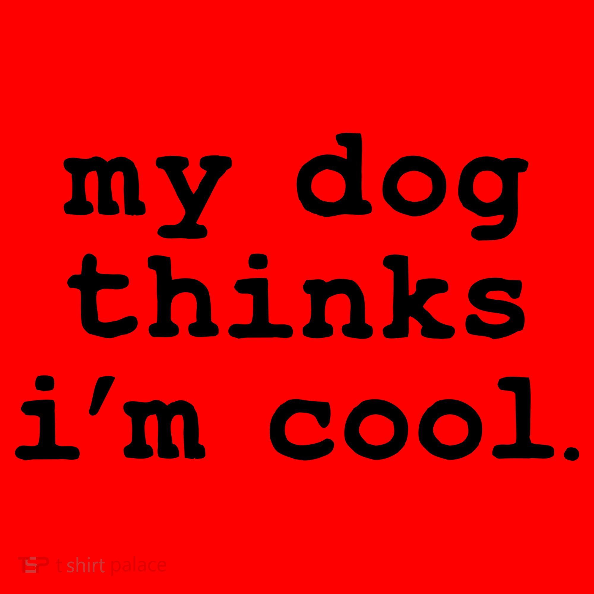My Dog Thinks I'm Cool Funny Santa Hat
