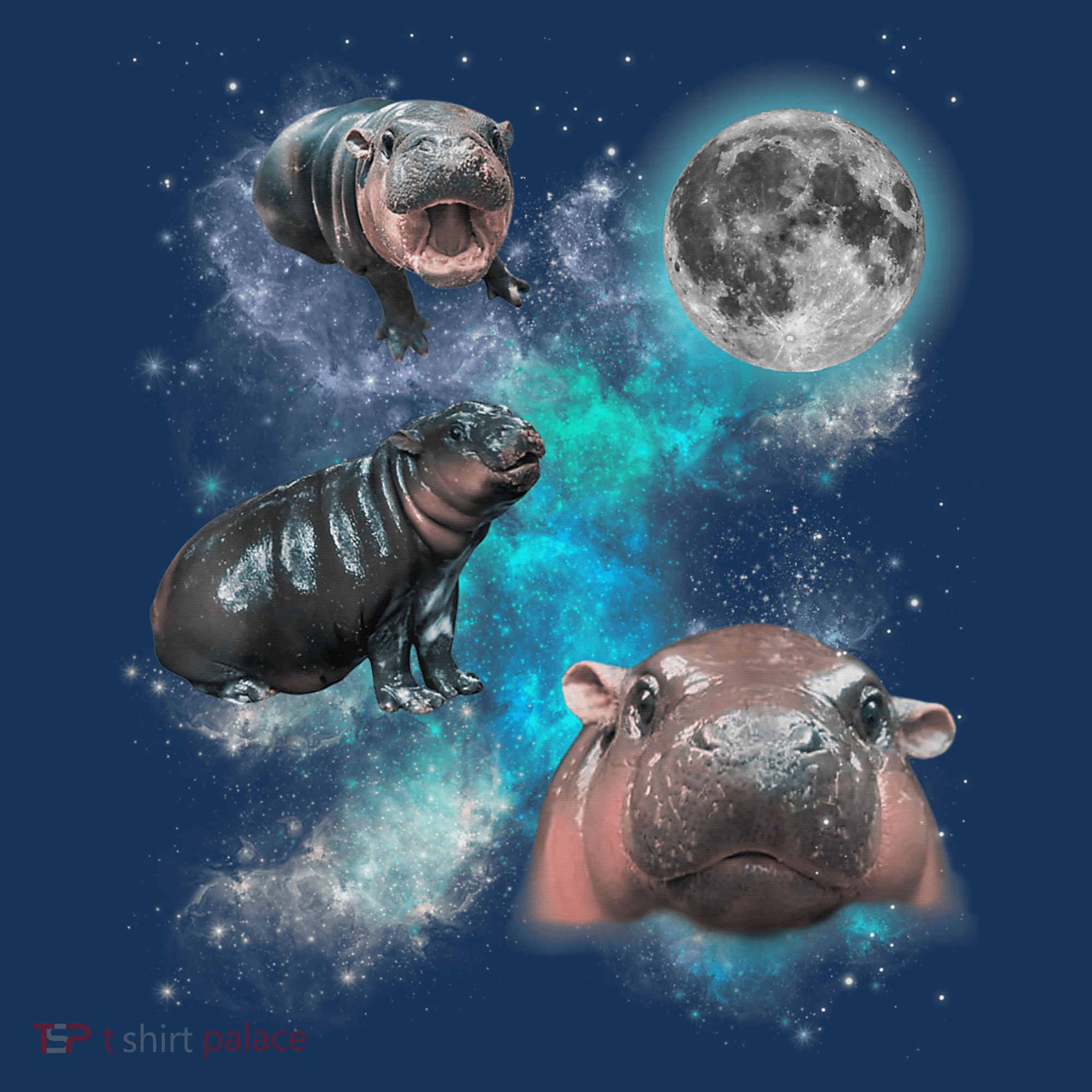 Moo Deng Three Moo Deng Moon Funny Hippo Universe Galaxy Women's T-Shirt