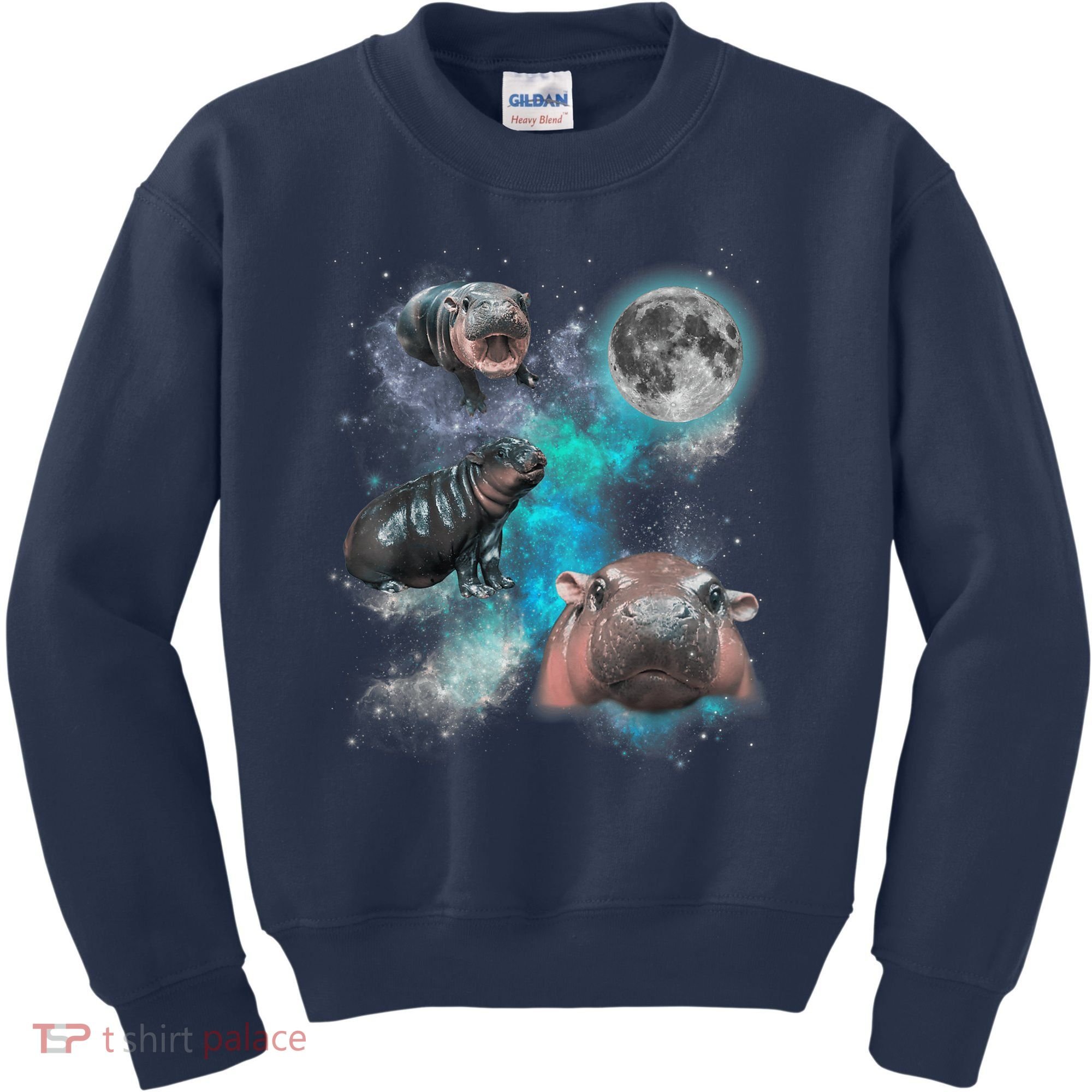 Moo Deng Three Moo Deng Moon Funny Hippo Universe Galaxy Kids Sweatshirt