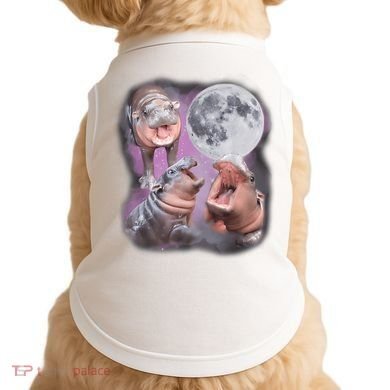 Moo Deng With The Moon Doggie Tank