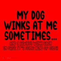 My Dog Winks At Me Funny Santa Hat thumb 1