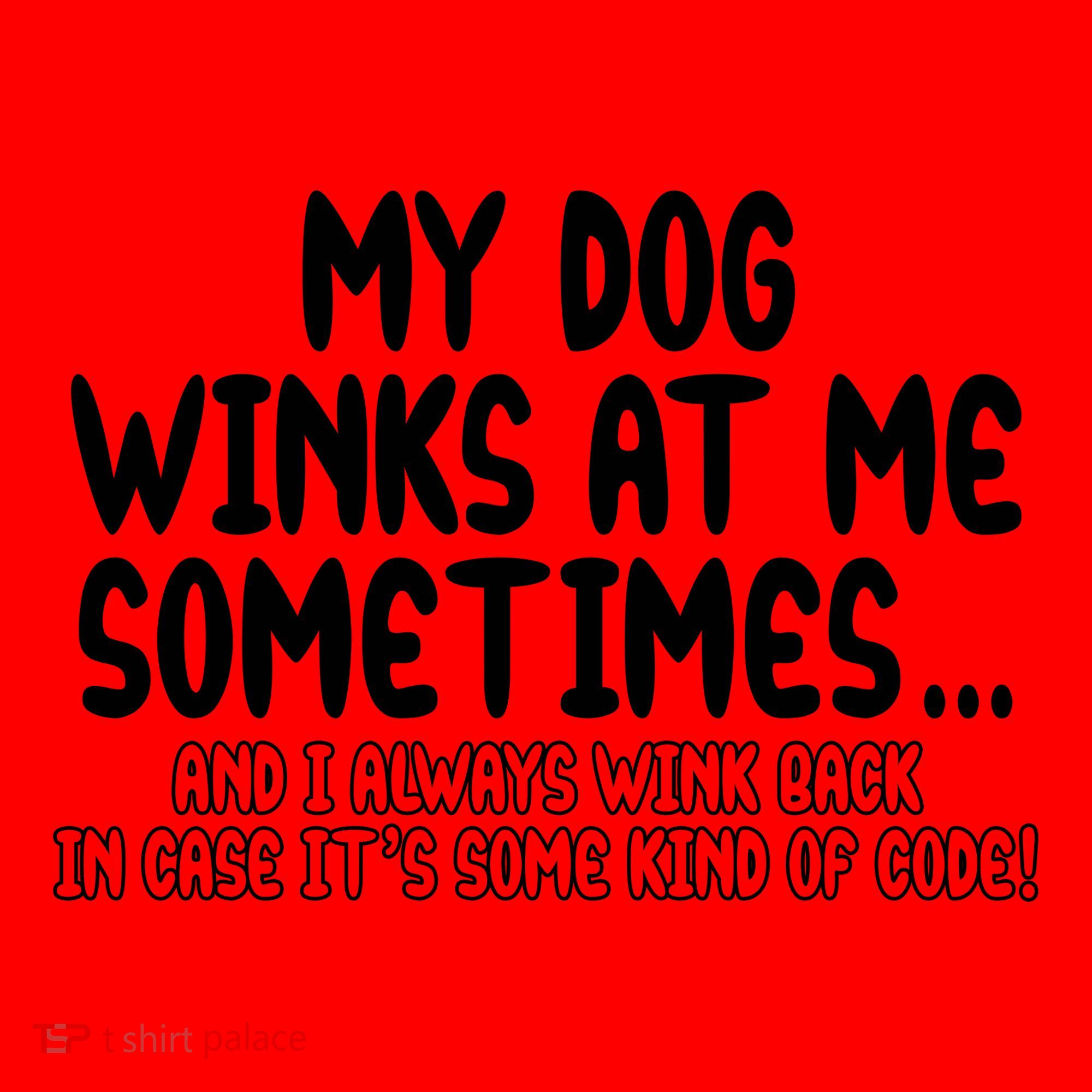 My Dog Winks At Me Funny Santa Hat