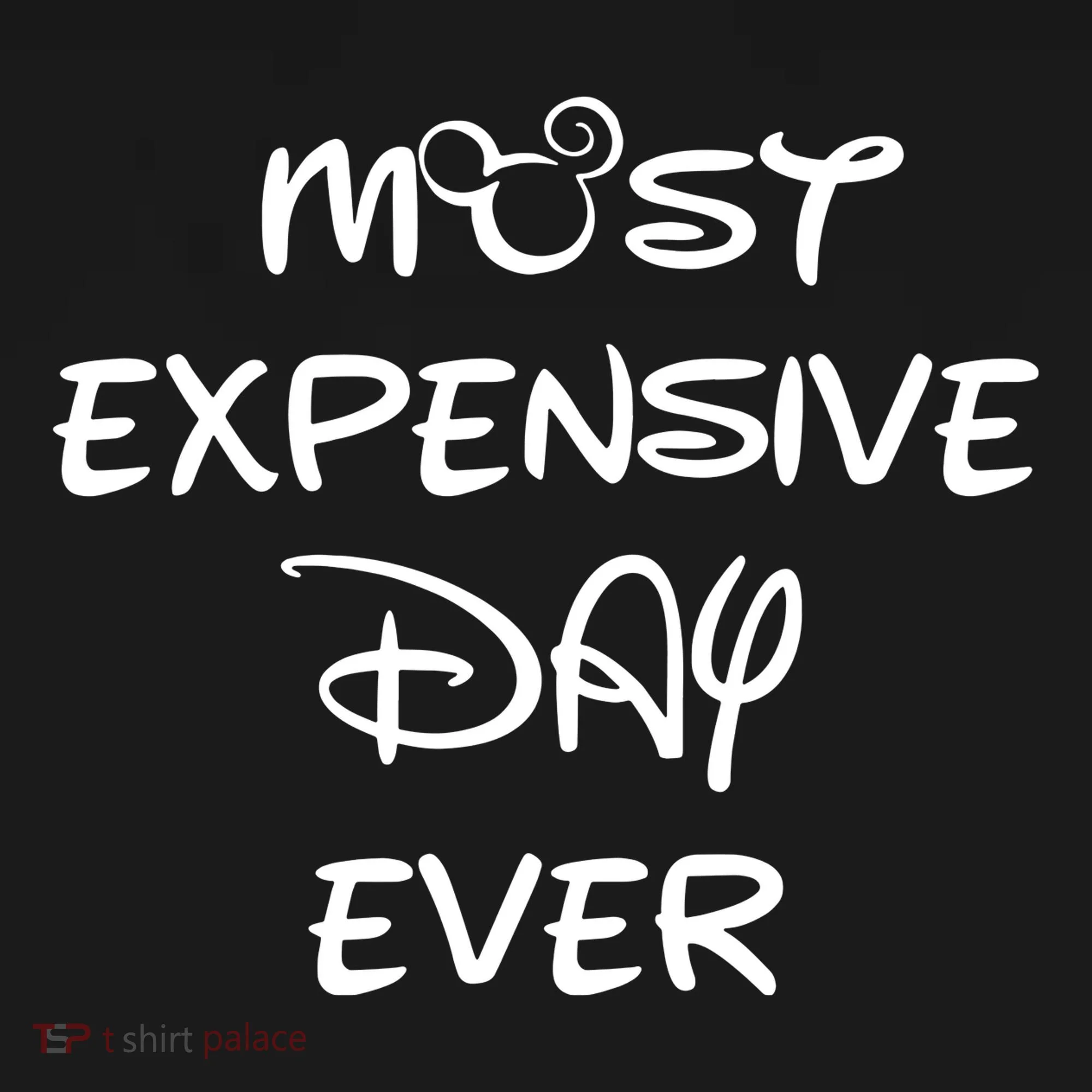 Most Expensive Day Ever Apron