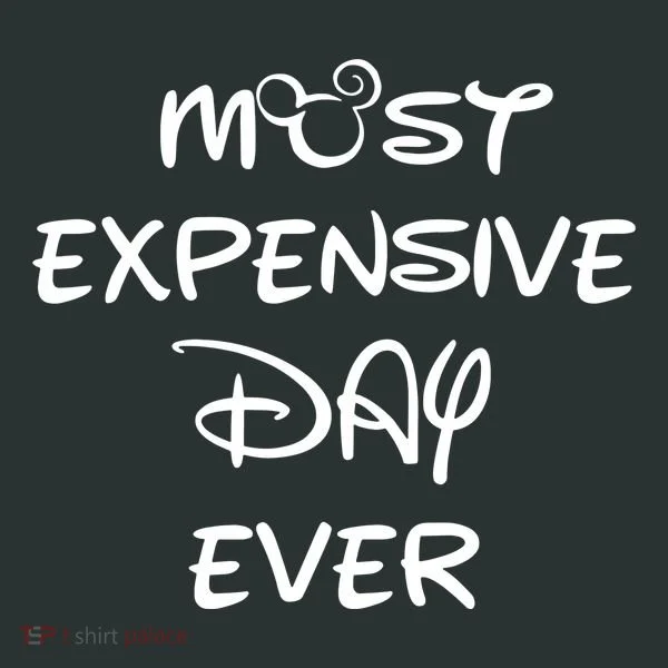 Most Expensive Day Ever Hoodie