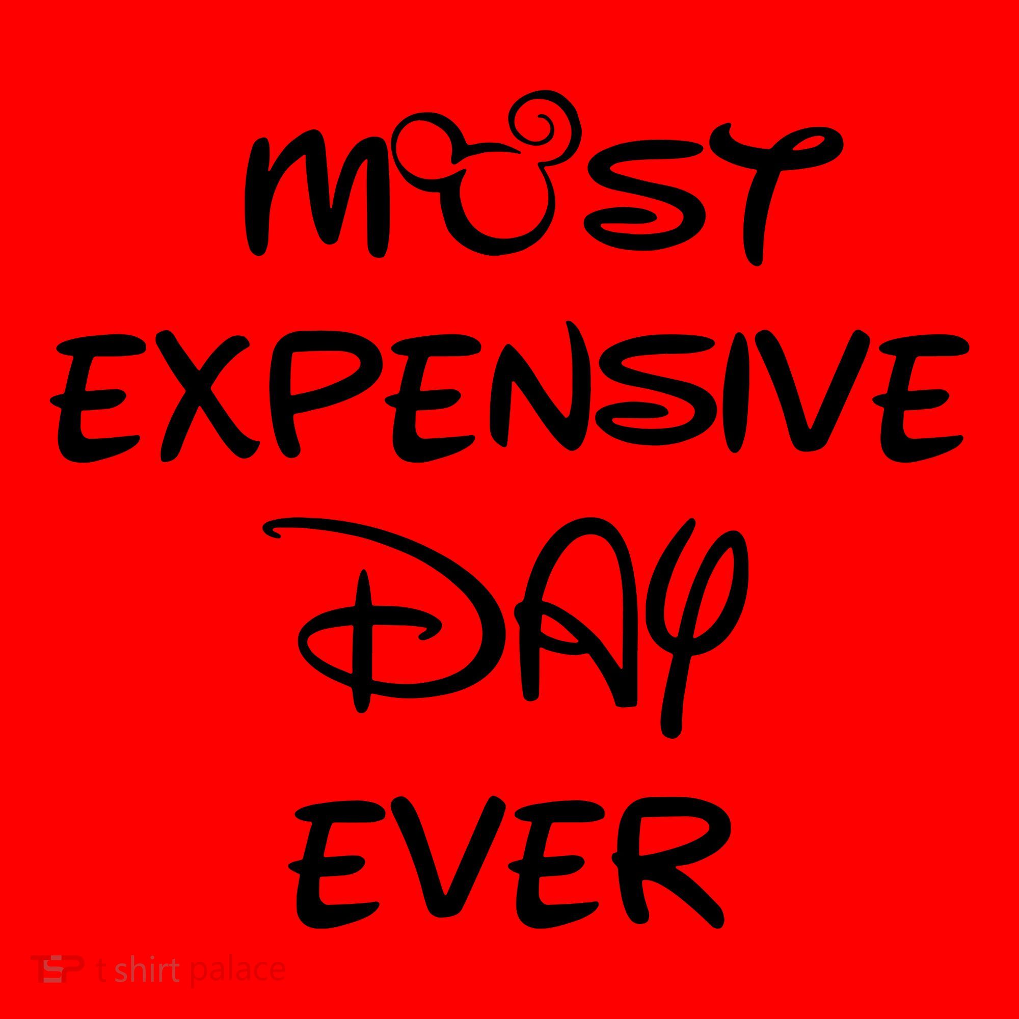 Most Expensive Day Ever Santa Hat