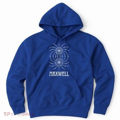 Maxwell Equations Electromagnetic Wave Physics Physicist Gift Hoodie