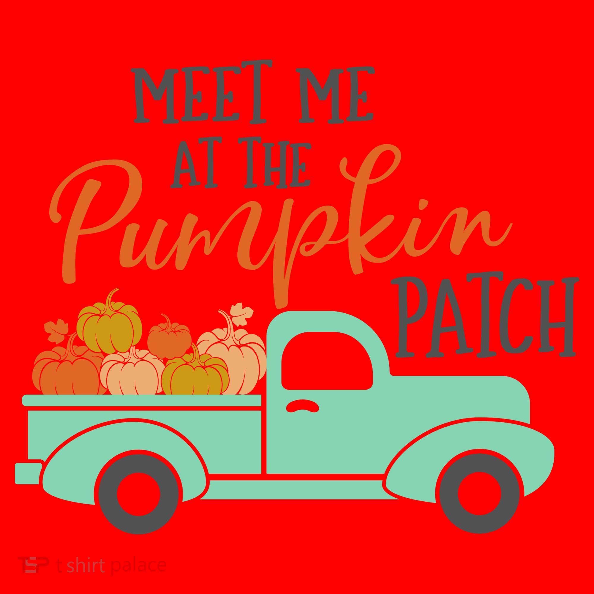 Meet Me at the Pumpkin Patch Santa Hat