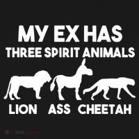 My Ex Has 3 Spirit Animals Lion Ass Cheetah Divorce Funny Women's Hoodie thumb 2