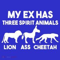 My Ex Has 3 Spirit Animals Lion Ass Cheetah Divorce Funny Sweatshirt thumb 3