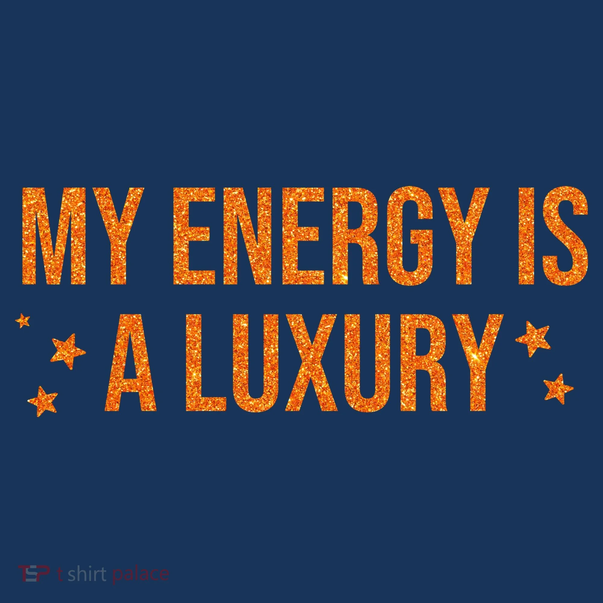 My Energy Is A Luxury  Hoodie
