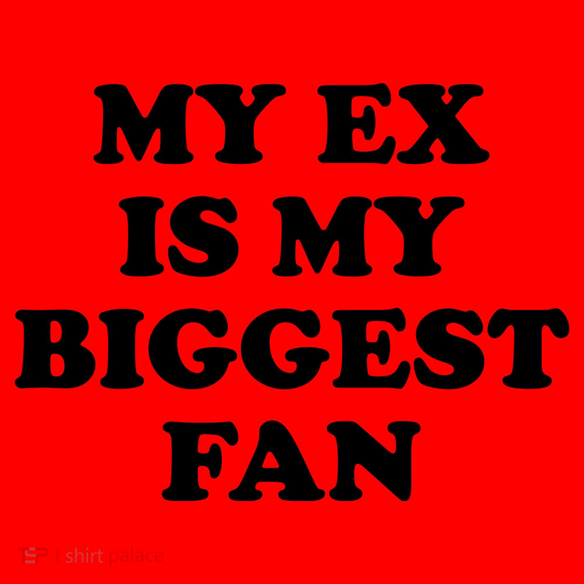 My Ex Is My Biggest Fan Shirts Funny Sayings Santa Hat