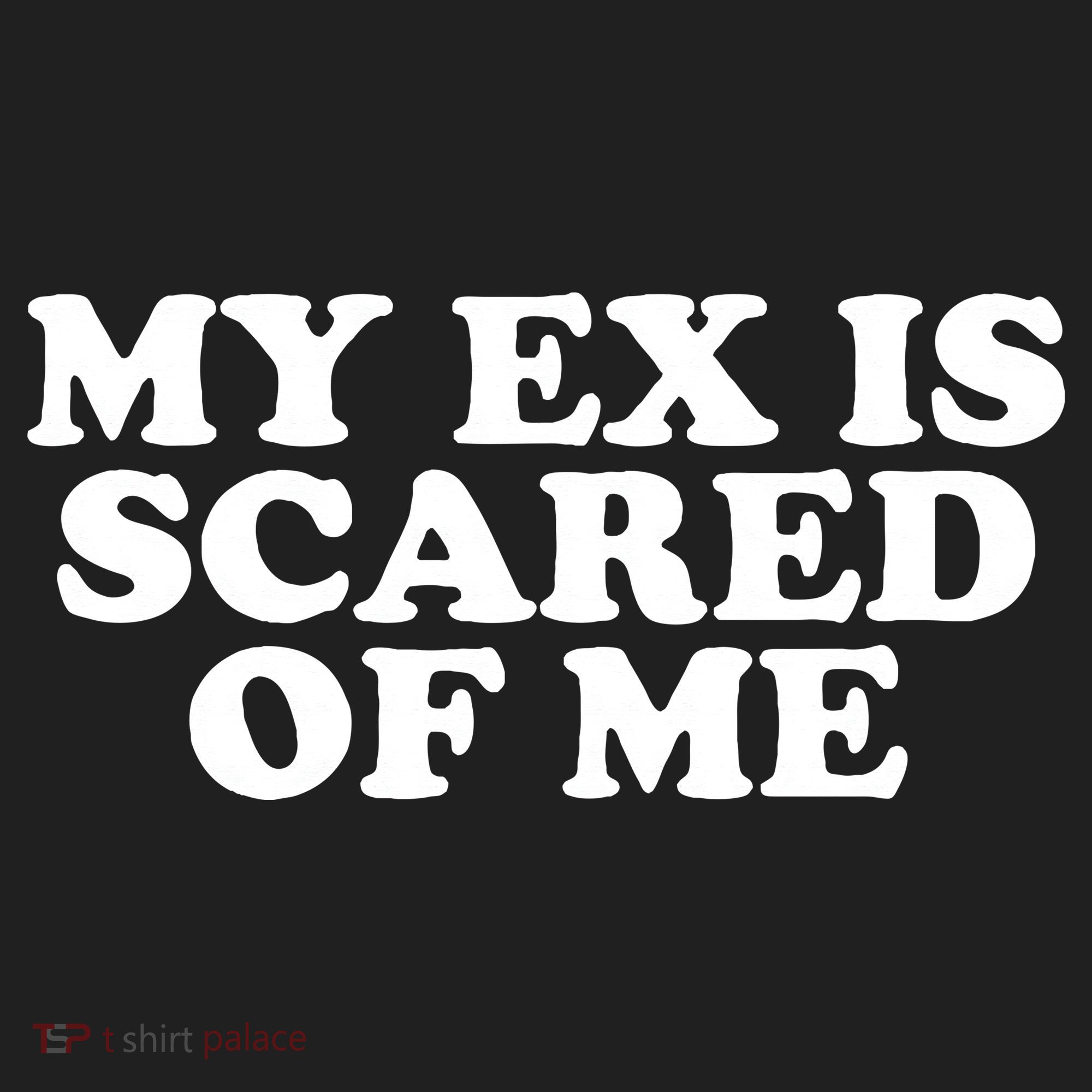 My Ex Is Scared of Me Tumbler