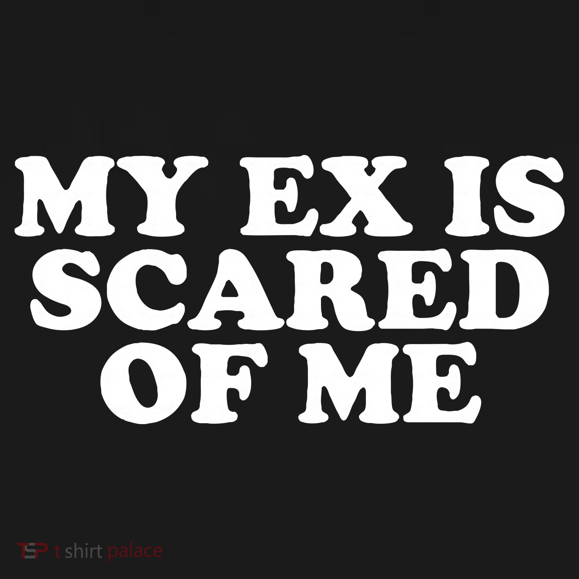 My Ex Is Scared of Me Ornament