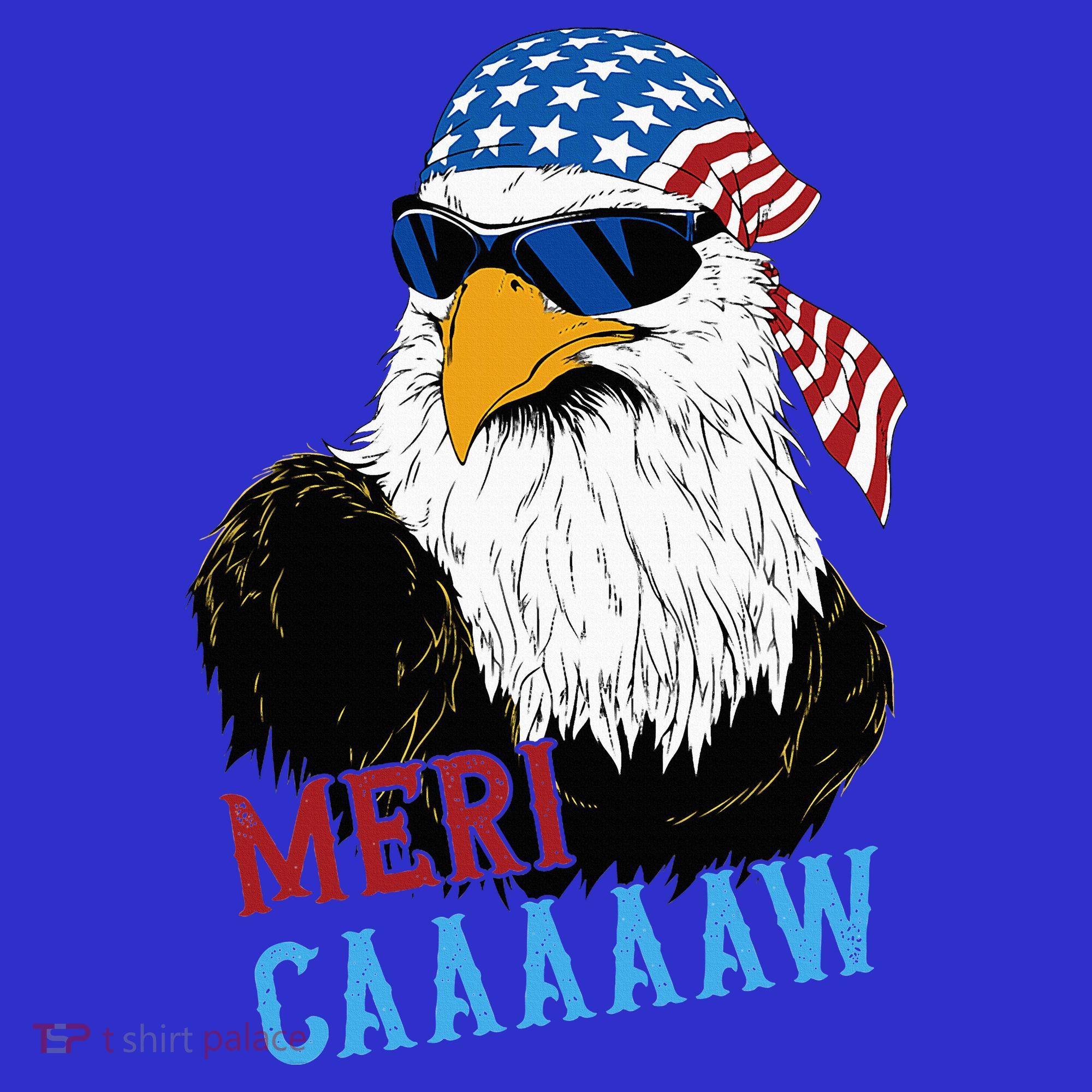 Mericaaaaaw Eagle Mullet Usa American Flag Long Sleeve Shirt