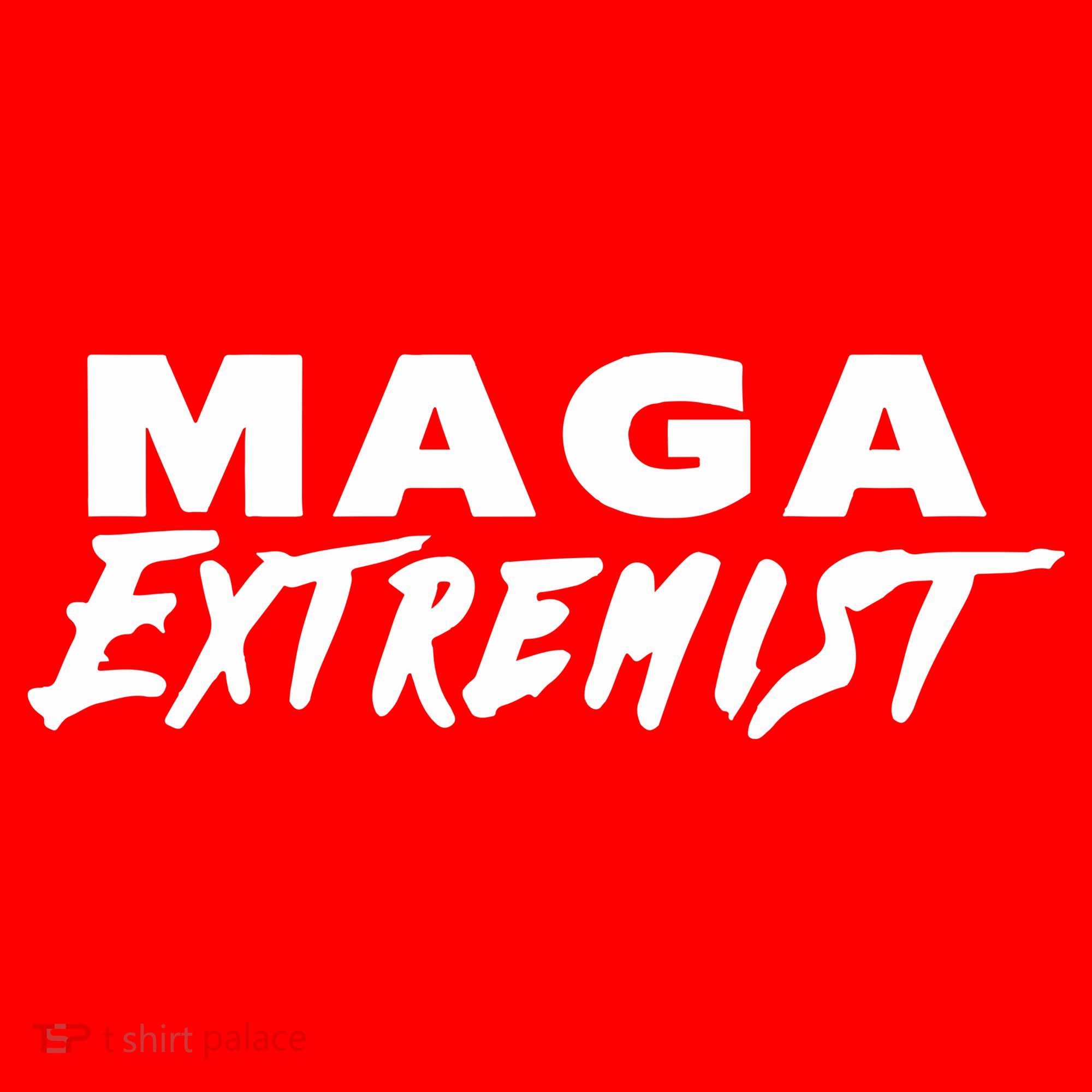 Maga Extremist Santa Hat
