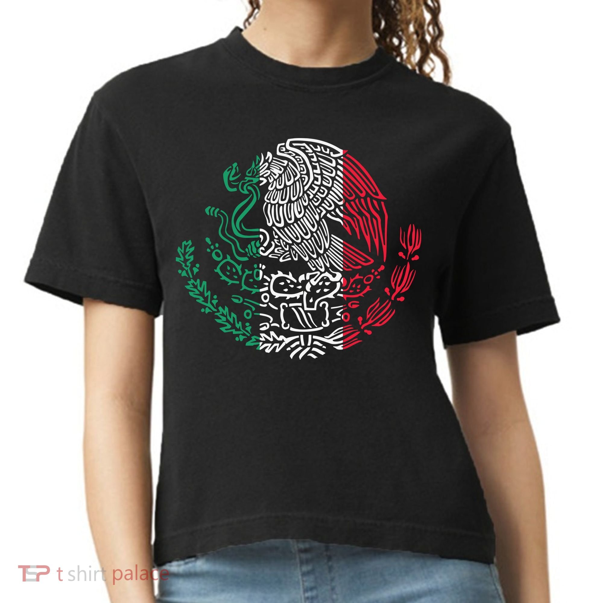 Mexican Eagle Mexico Flag Comfort Colors Boxy T-Shirt