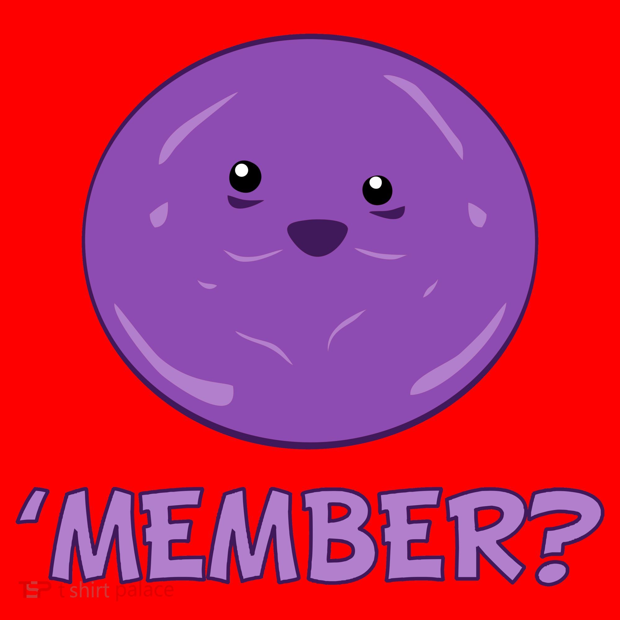 Member Berries 'Member? Funny Berry Meme Santa Hat