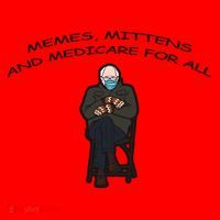 Memes Mittens And Medicare For All Santa Hat thumb 1
