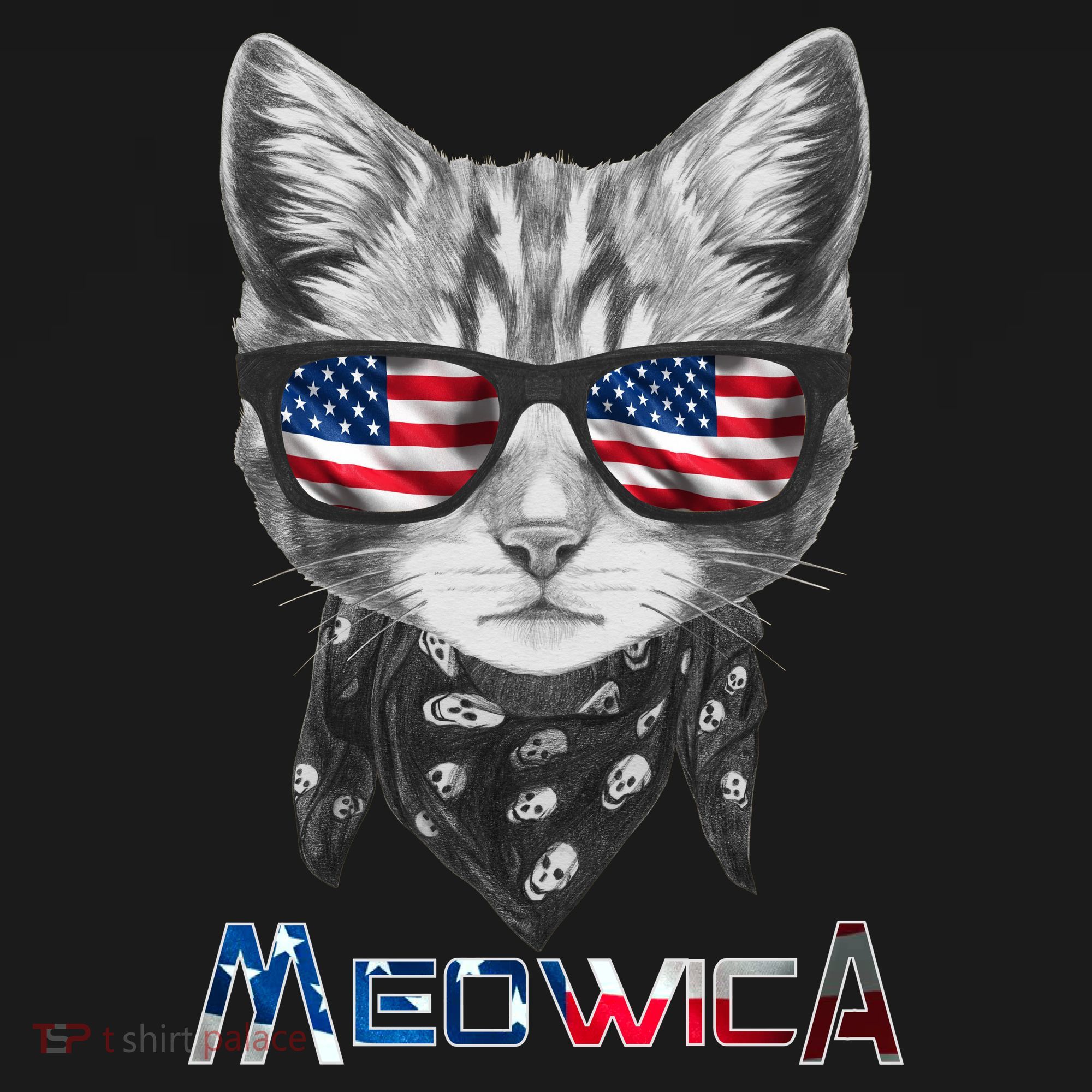 Meowica Rock Cat Funny 4th of July USA Freedom Sweatshirt