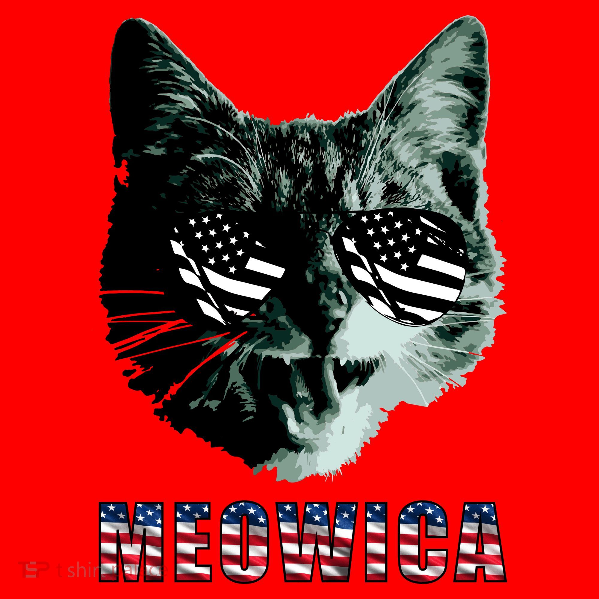 Meowica USA Cat Santa Hat