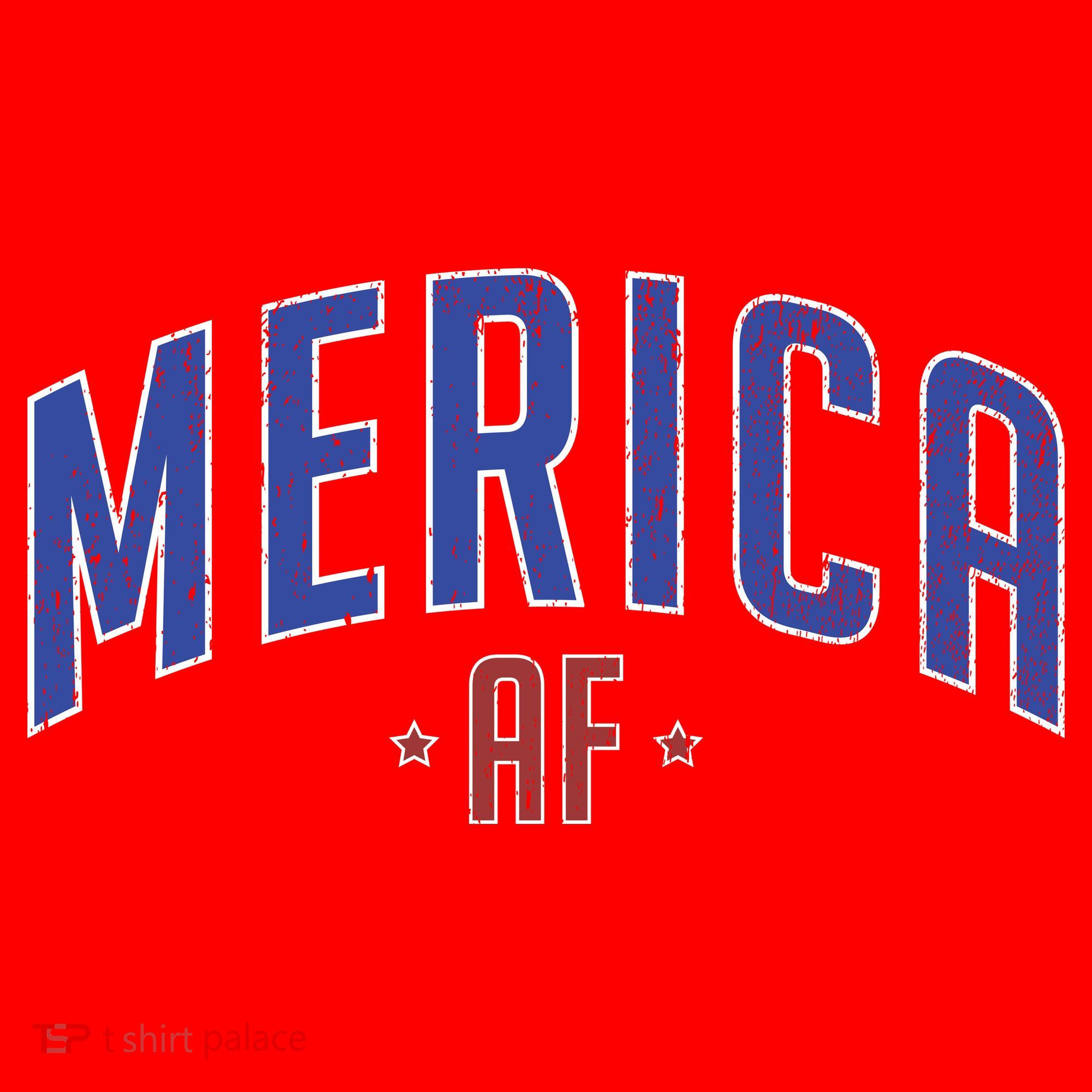 Merica AF Distressed USA Logo Santa Hat