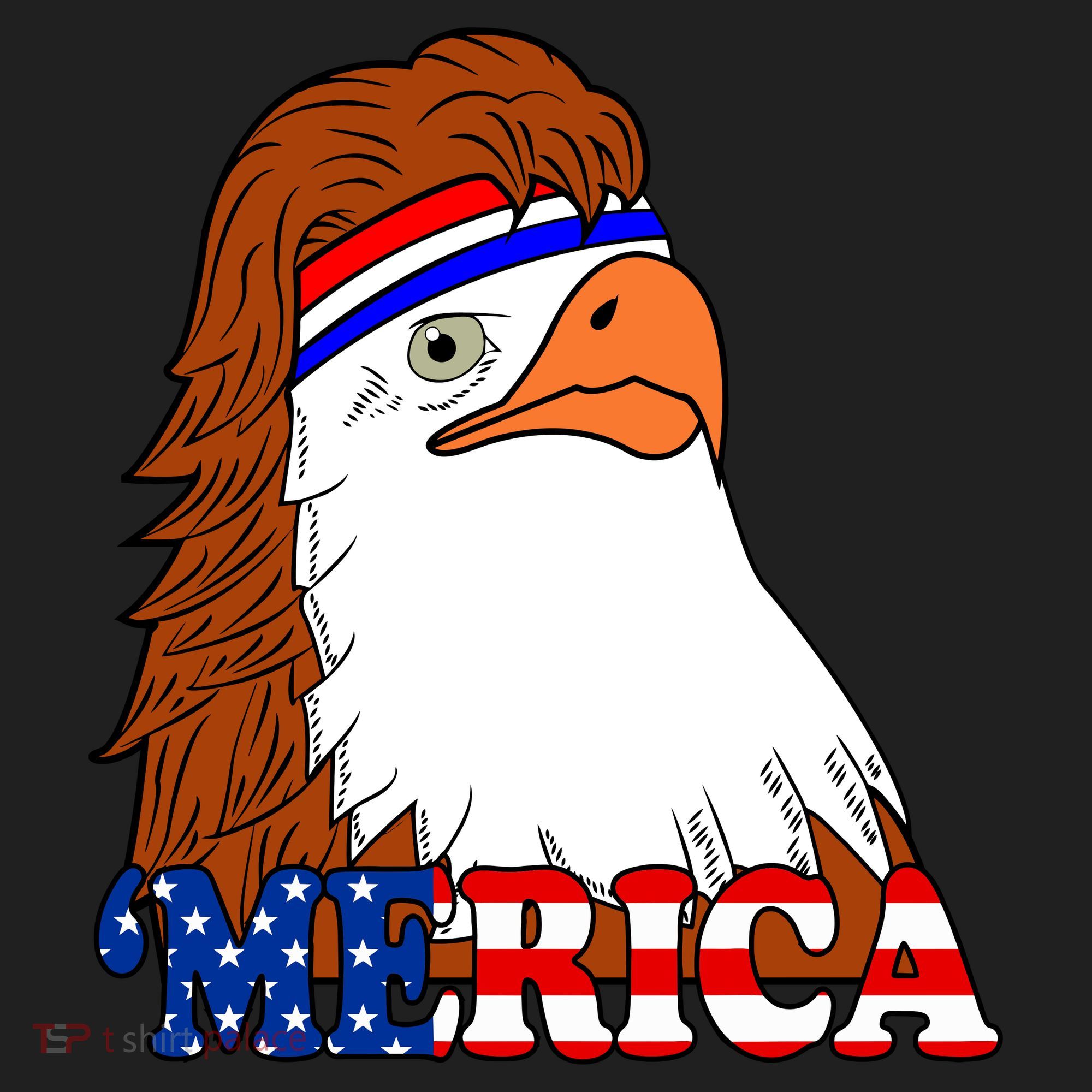 Merica Bald Eagle Retro USA Flag Women's Sweatshirt