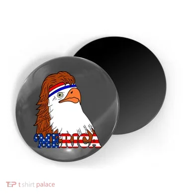 Magnet