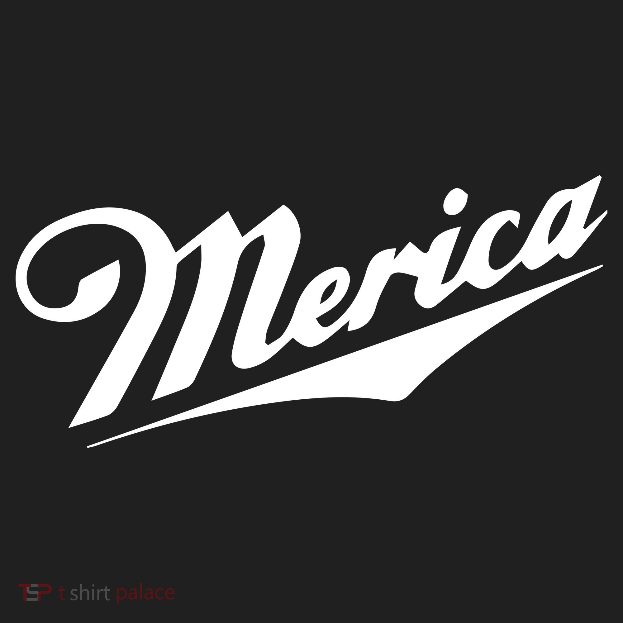 Merica Simple Logo Beanie