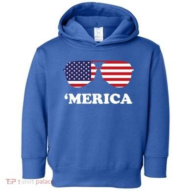 Merica Sun Glasses Shades USA Flag Toddler Hoodie