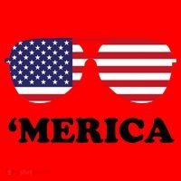Merica Sun Glasses Shades USA Flag Santa Hat thumb 1