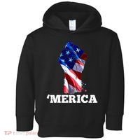 Merica USA American Flag Fist Toddler Hoodie thumb 0