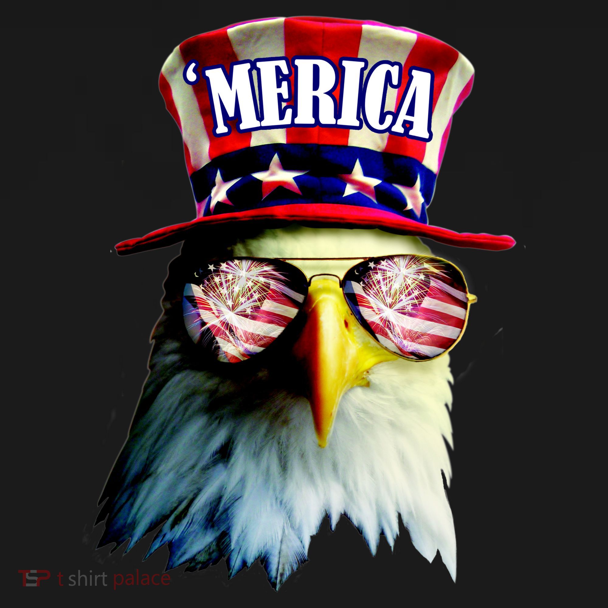 Merica USA Eagle Long Sleeve Shirt