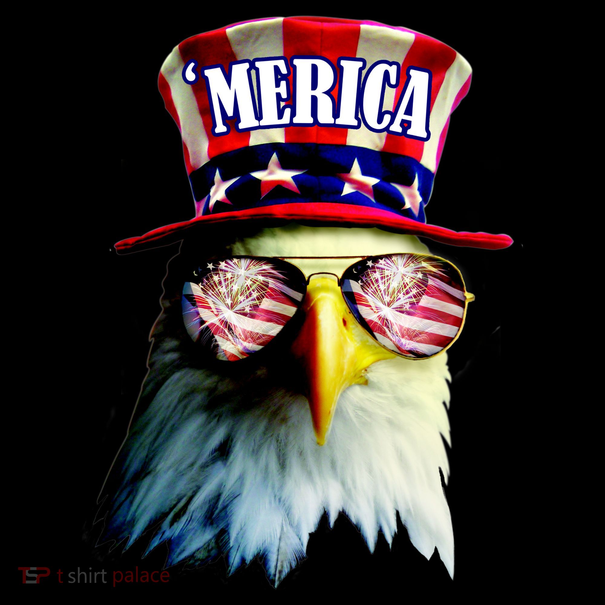 Merica USA Eagle Women's T-Shirt
