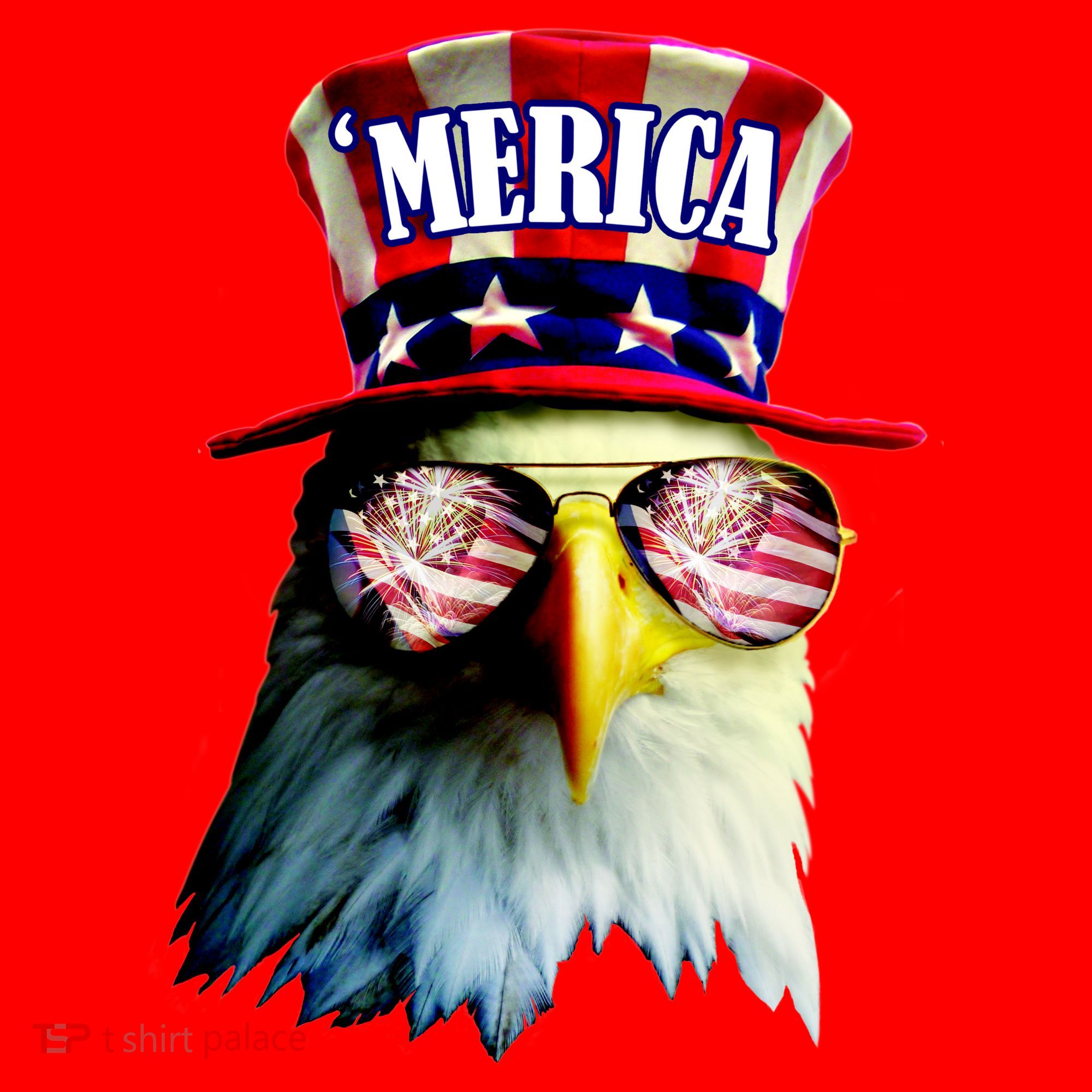 Merica USA Eagle Santa Hat