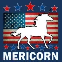 Mericorn American Unircorn Bucket Hat thumb 4