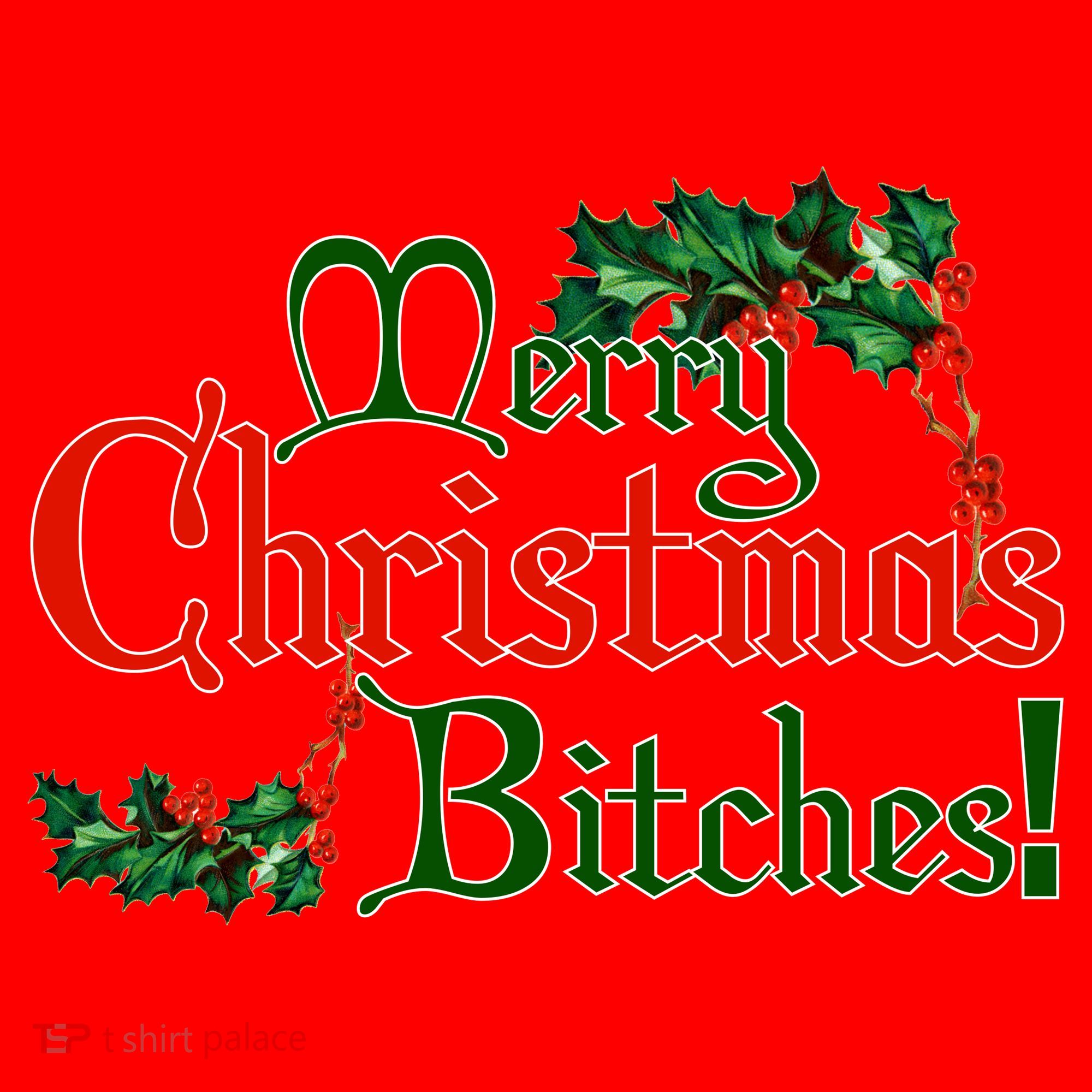 Merry Christmas Bitches! Santa Hat