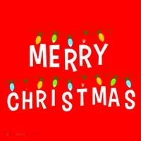 Merry Christmas Lights Tumbler thumb 3