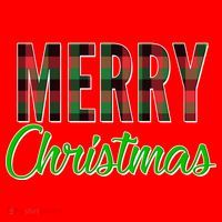 Merry Christmas Plaid Santa Hat thumb 1