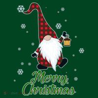 Merry Christmas Plaid Garden Gnome Women's T-Shirt thumb 6