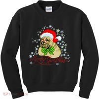 Merry Christmas Santa Pug Kids Sweatshirt thumb 0